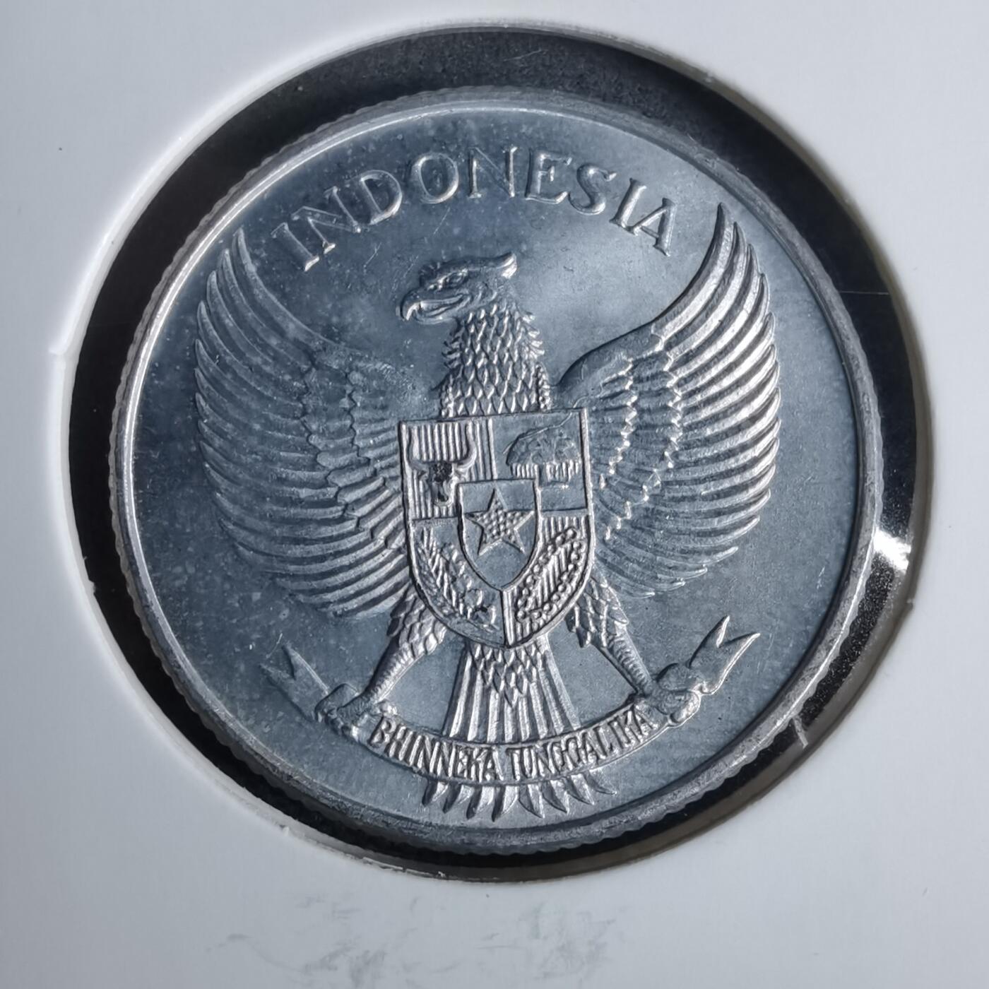 沼泽如烟--第925场 印度尼西亚1955年25分