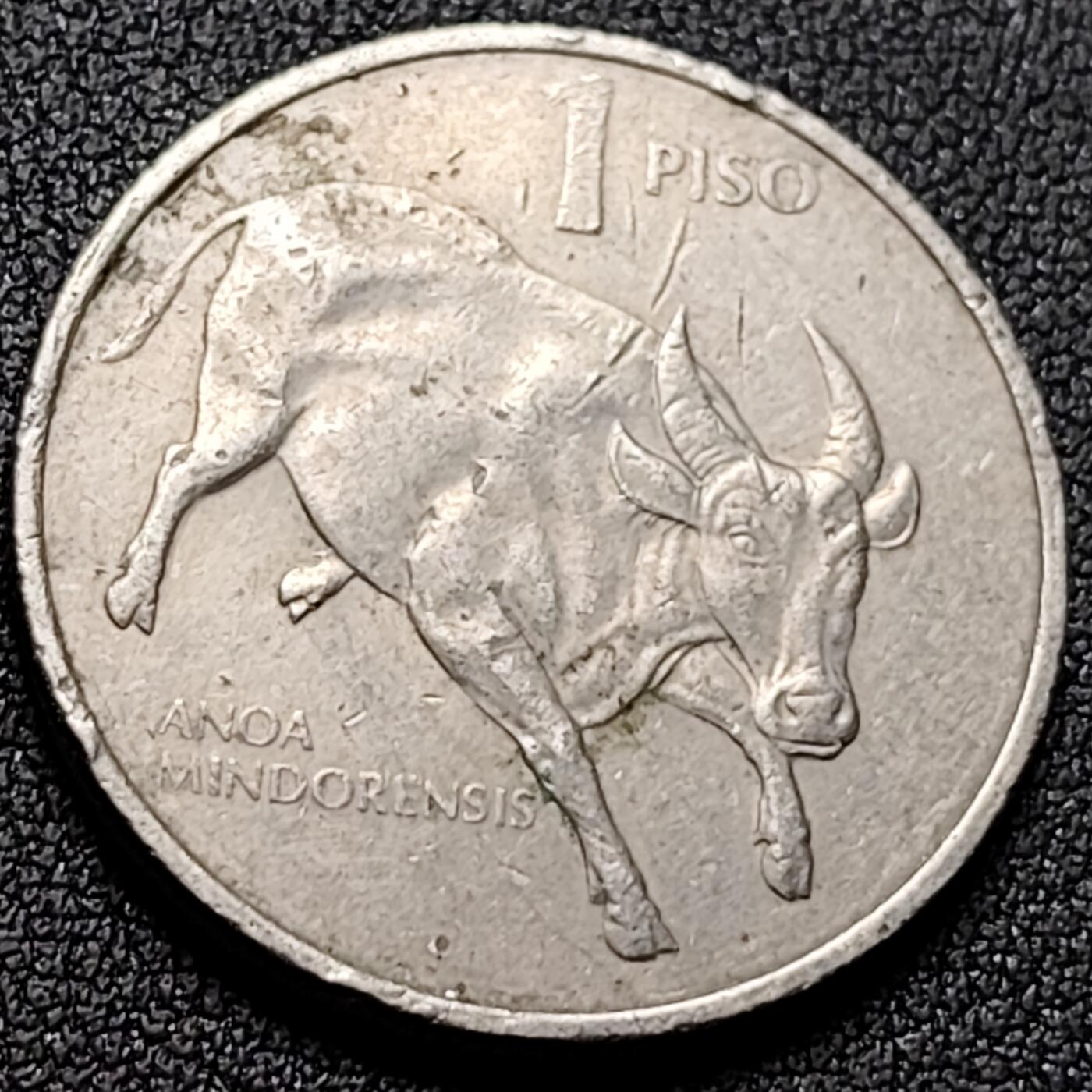 泉币菌-第142场-精品福利场 。