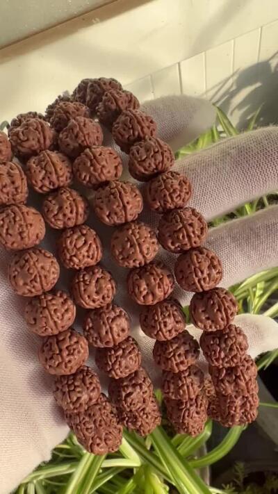 零元拍：凤羽梅花金刚长串斜挎念珠，约13/11MM