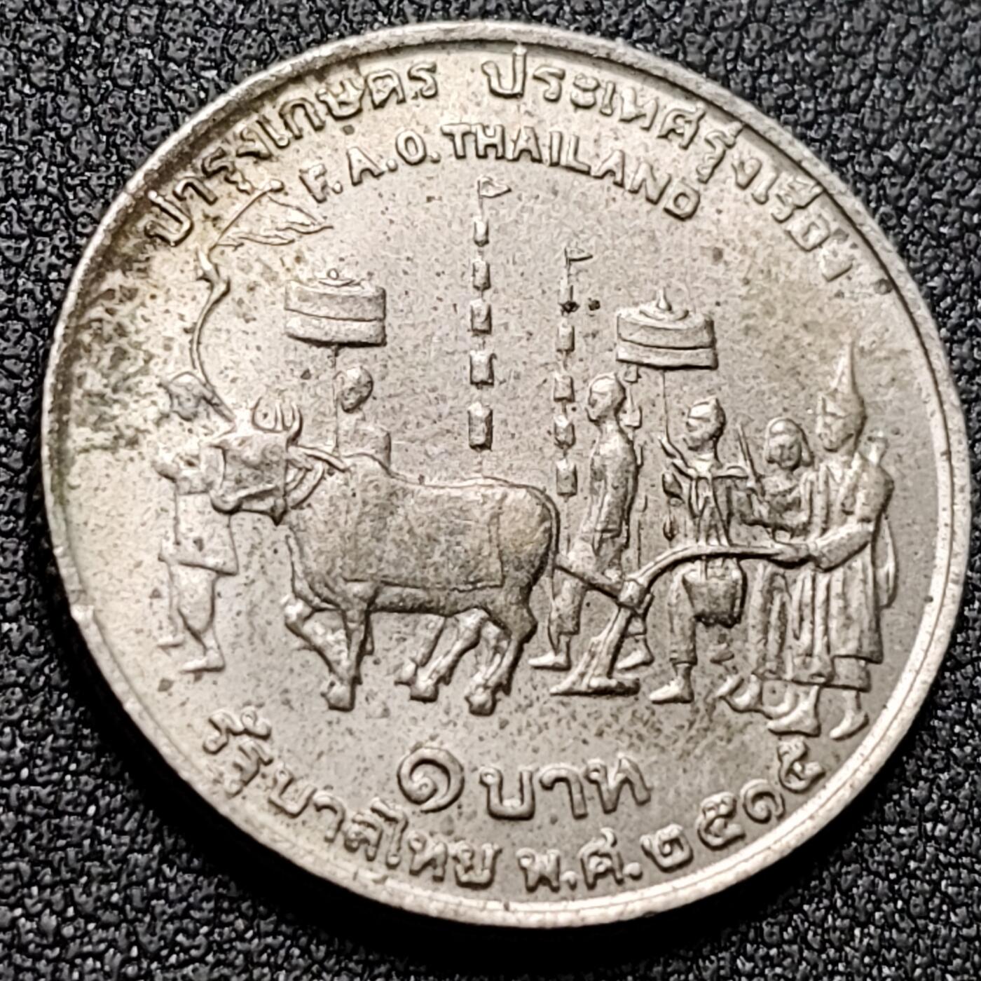 泉币菌-第142场-精品福利场 。