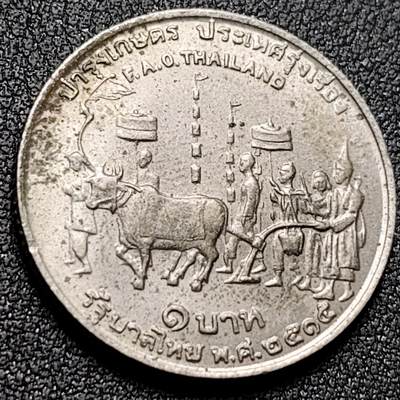 泉币菌-第142场-精品福利场 - 。