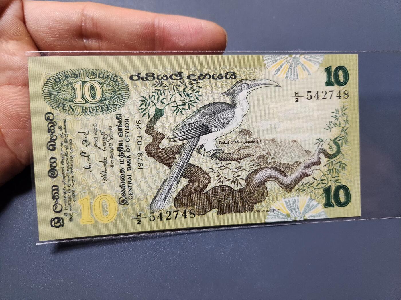 12月10号晚上8点 外国纸币自动截拍第71场