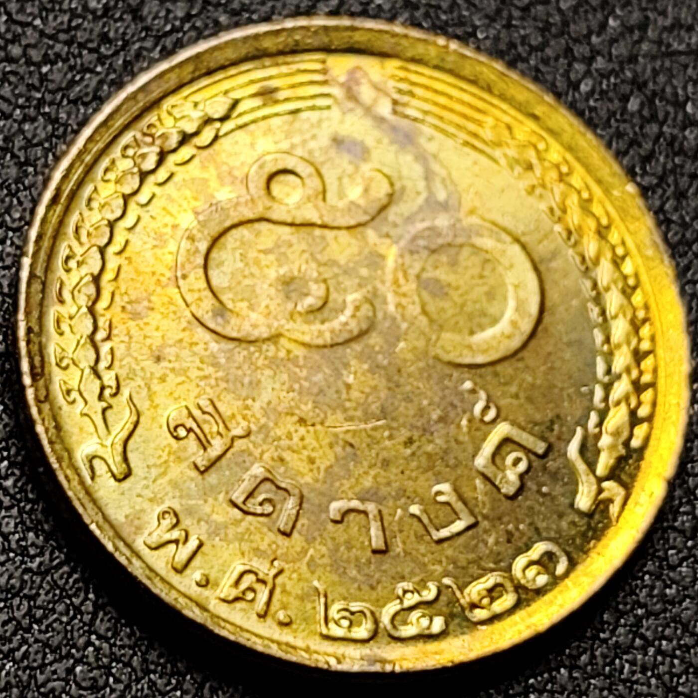 泉币菌-第142场-精品福利场 。