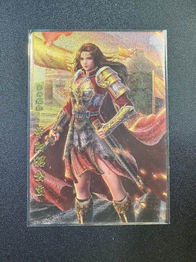 NO.17 好又多金牌大场，新店点关注不迷路！每周一站式配齐，方便凑单！（周6晚8点截拍，卖家送拍0抽成！） - 卡玩帕克 神州英雄志 平阳昭公主 粗闪