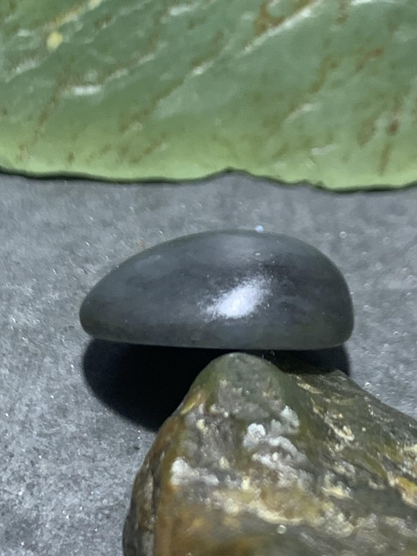 精美和田玉青花小独籽原石一颗，