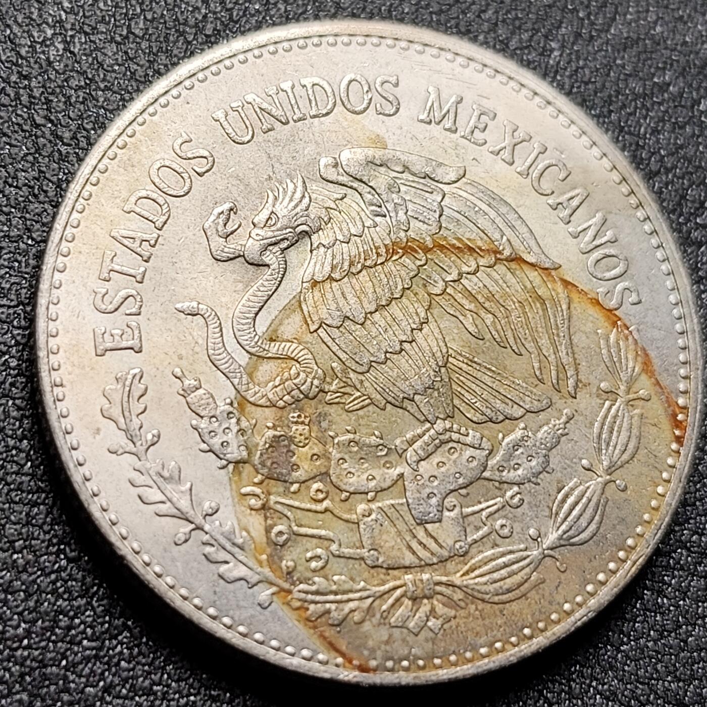 泉币菌-第142场-精品福利场 。