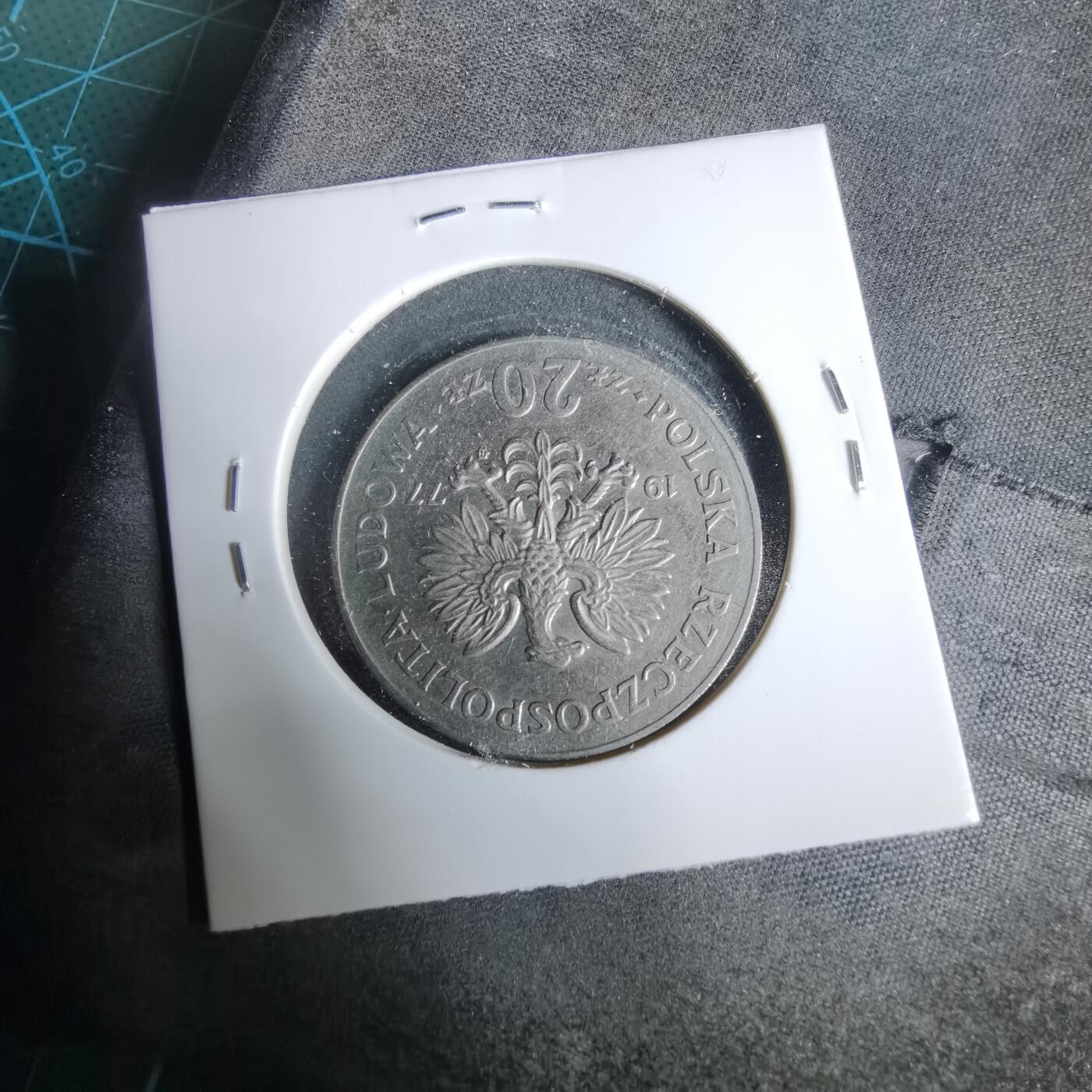 沼泽如烟--第925场