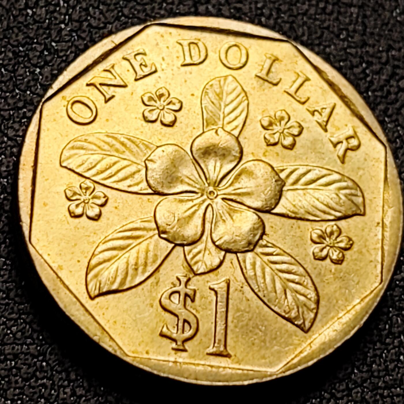 泉币菌-第142场-精品福利场 。