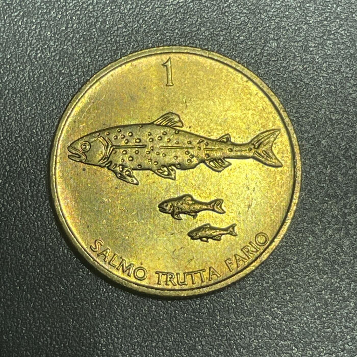 回流1215 斯洛文尼亚1999年1托拉尔铜币 褐鳟鱼及幼鱼