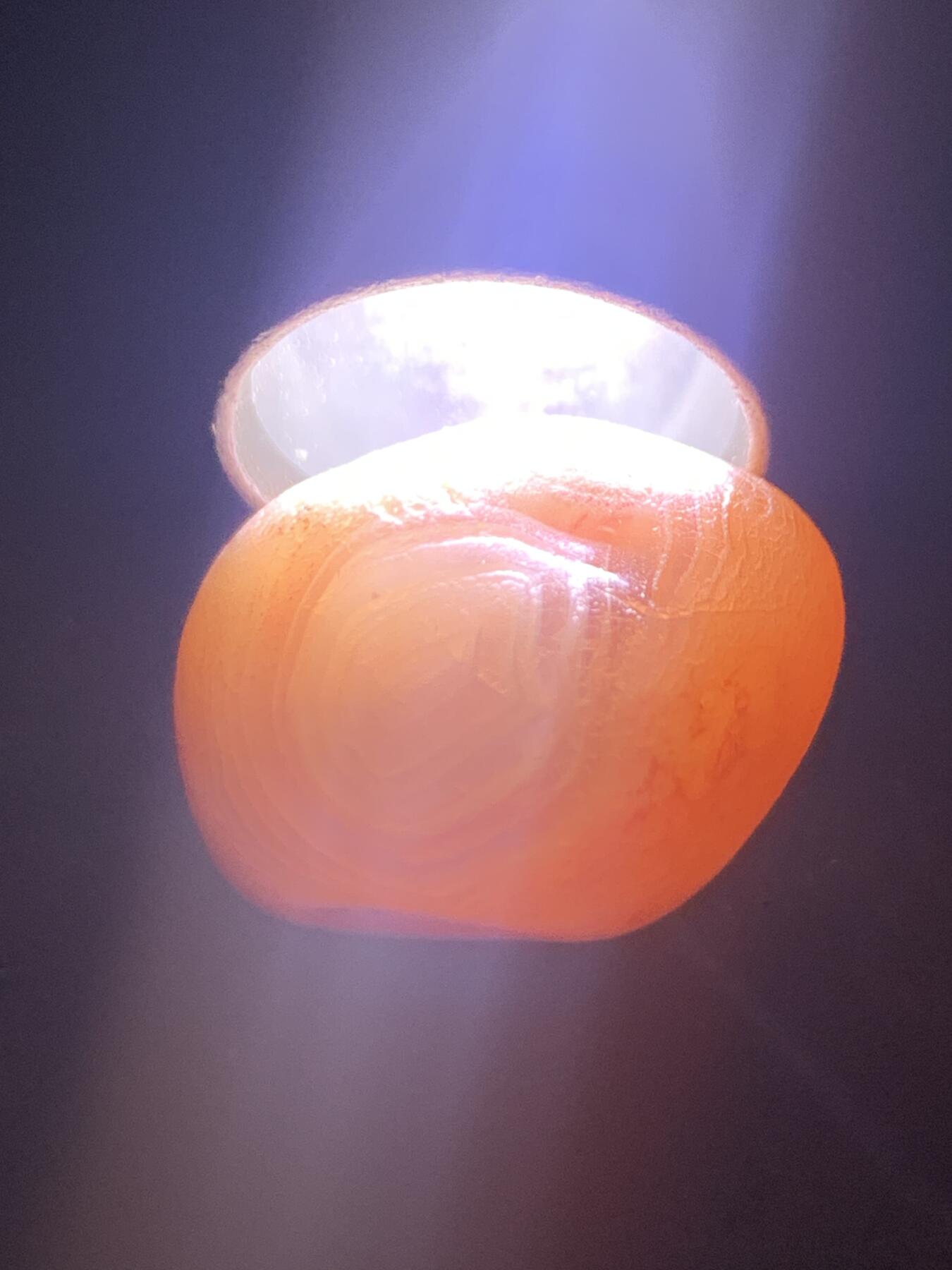 精美天眼纹水冲籽川料南红玛瑙原石一颗，