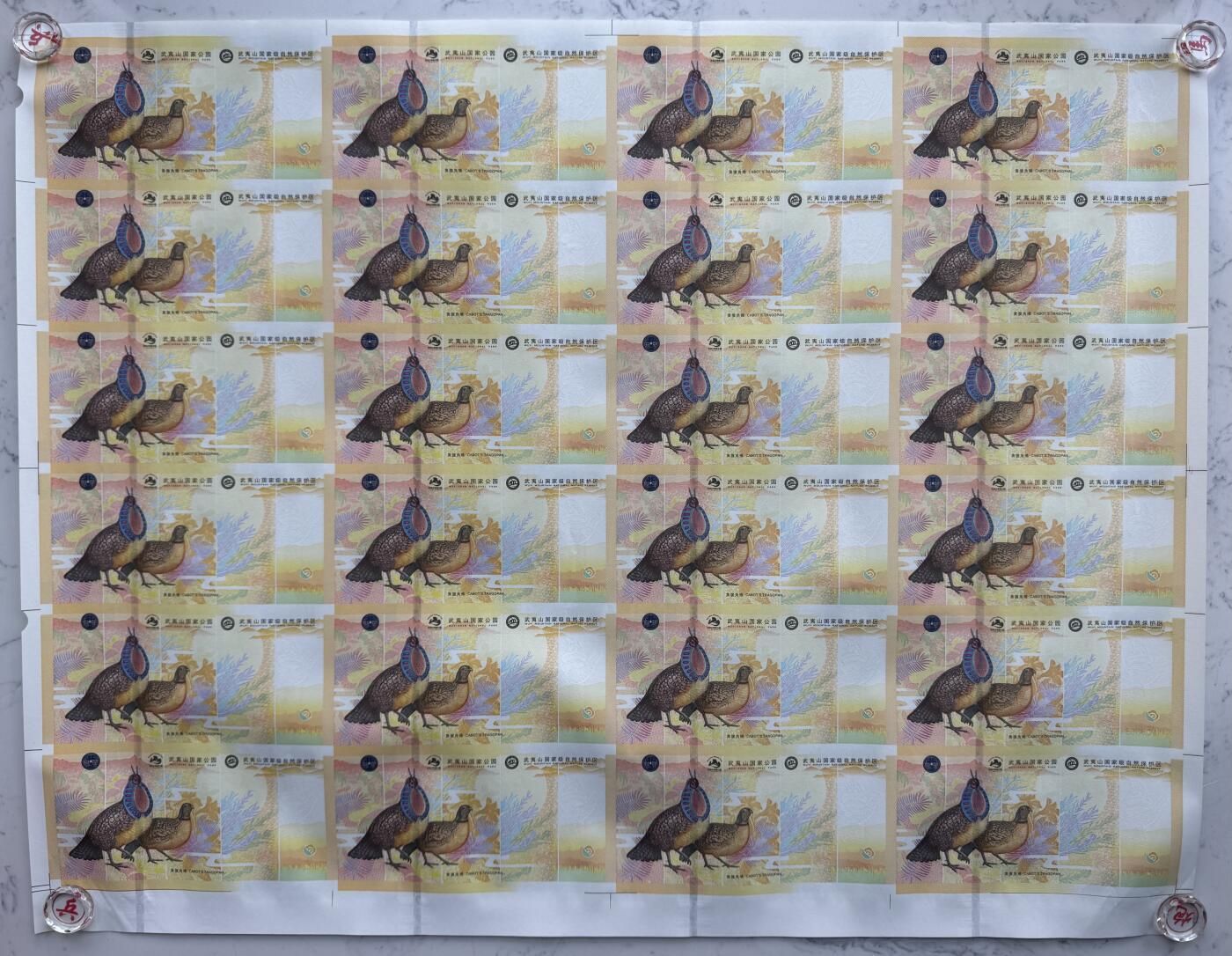 2025第27场（总第227期）：精品连体纪念券专场 二十四连体/尾号729 南钞世界双遗产“武夷山”纪念券豪华水晶炮筒装UNC（发行价2980元）