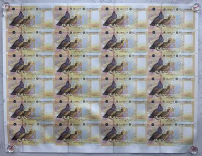 2025第27场（总第227期）：精品连体纪念券专场 - 二十四连体/尾号729 南钞世界双遗产“武夷山”纪念券豪华水晶炮筒装UNC（发行价2980元）