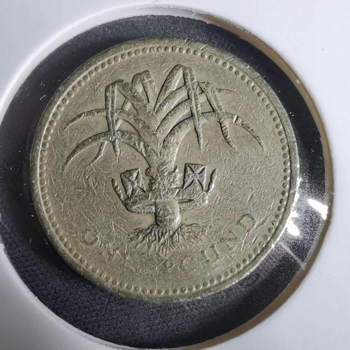 沼泽如烟--第925场 英国1990年一元