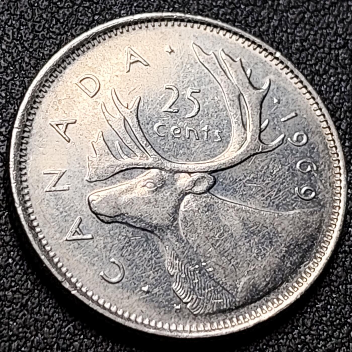 泉币菌-第142场-精品福利场 。