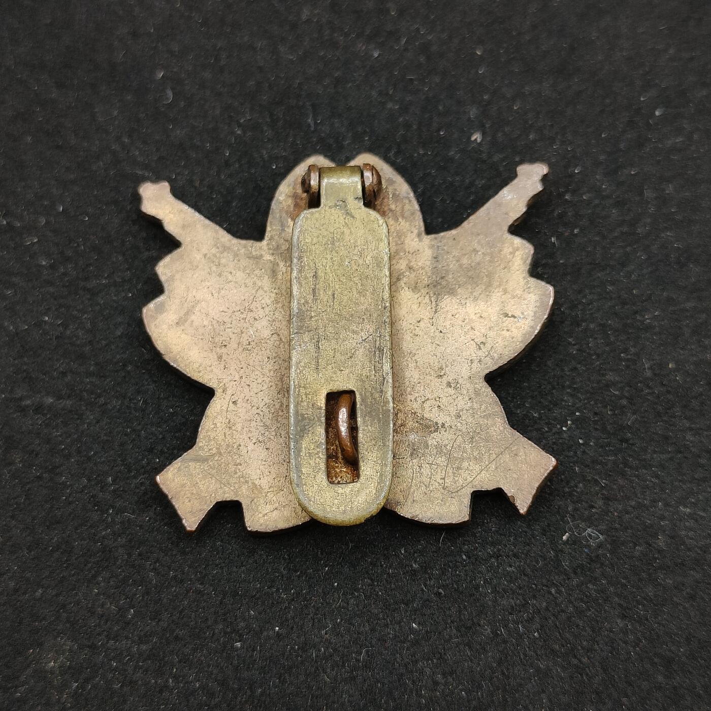 0元起拍勋章 第316期 咸鱼国勋章拍卖专场 12月7日（周日）下午6：00开始 日本战时步兵技能章