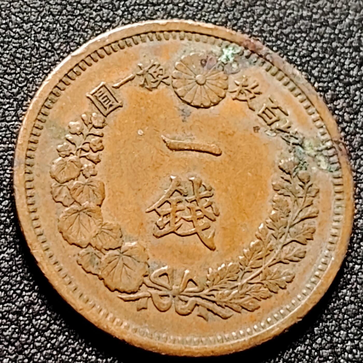 泉币菌-第142场-精品福利场