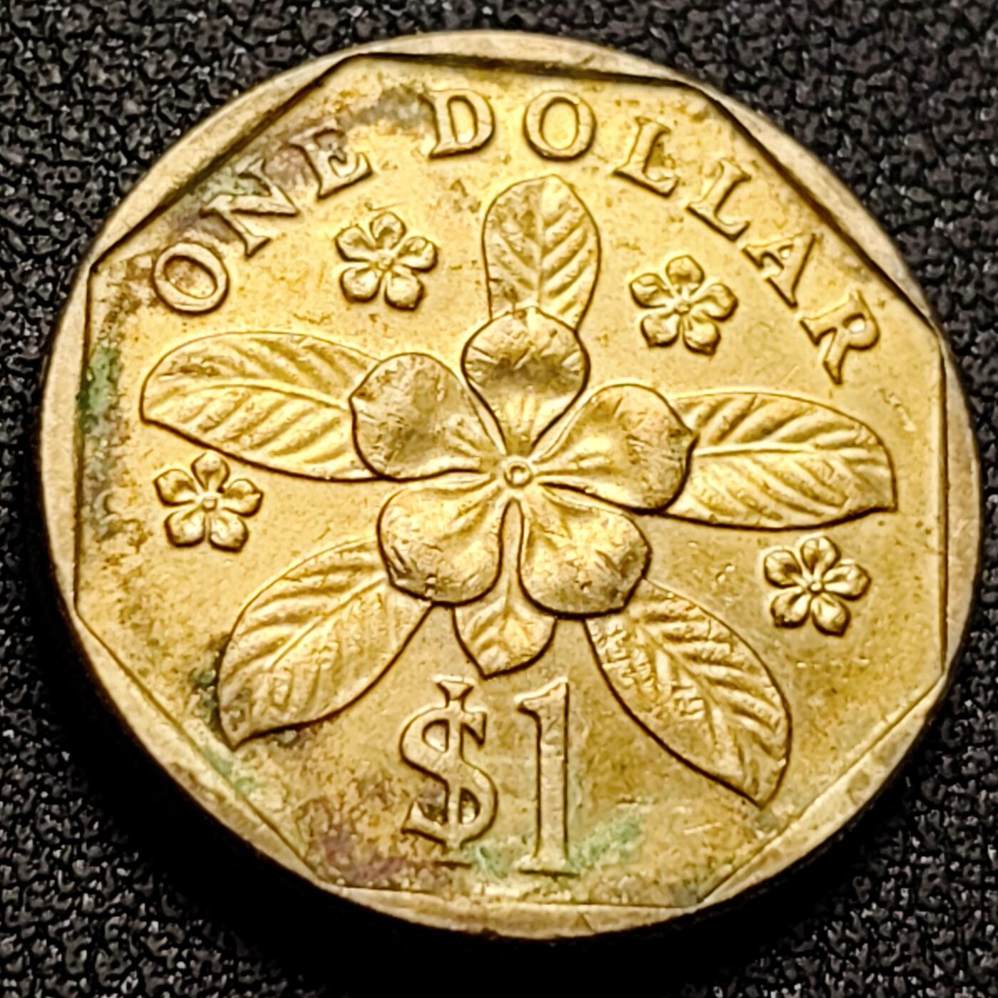 泉币菌-第142场-精品福利场 。