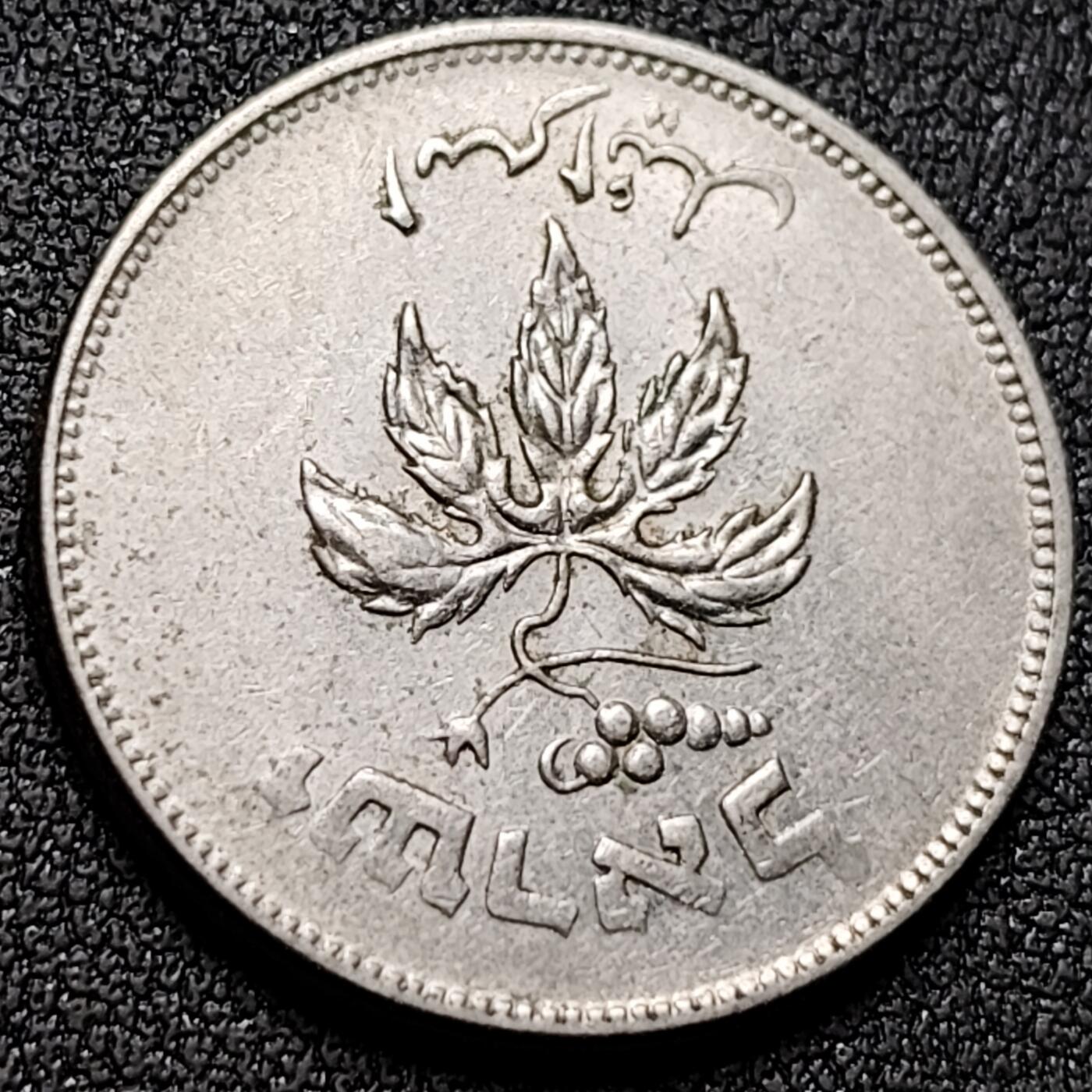 泉币菌-第142场-精品福利场 。