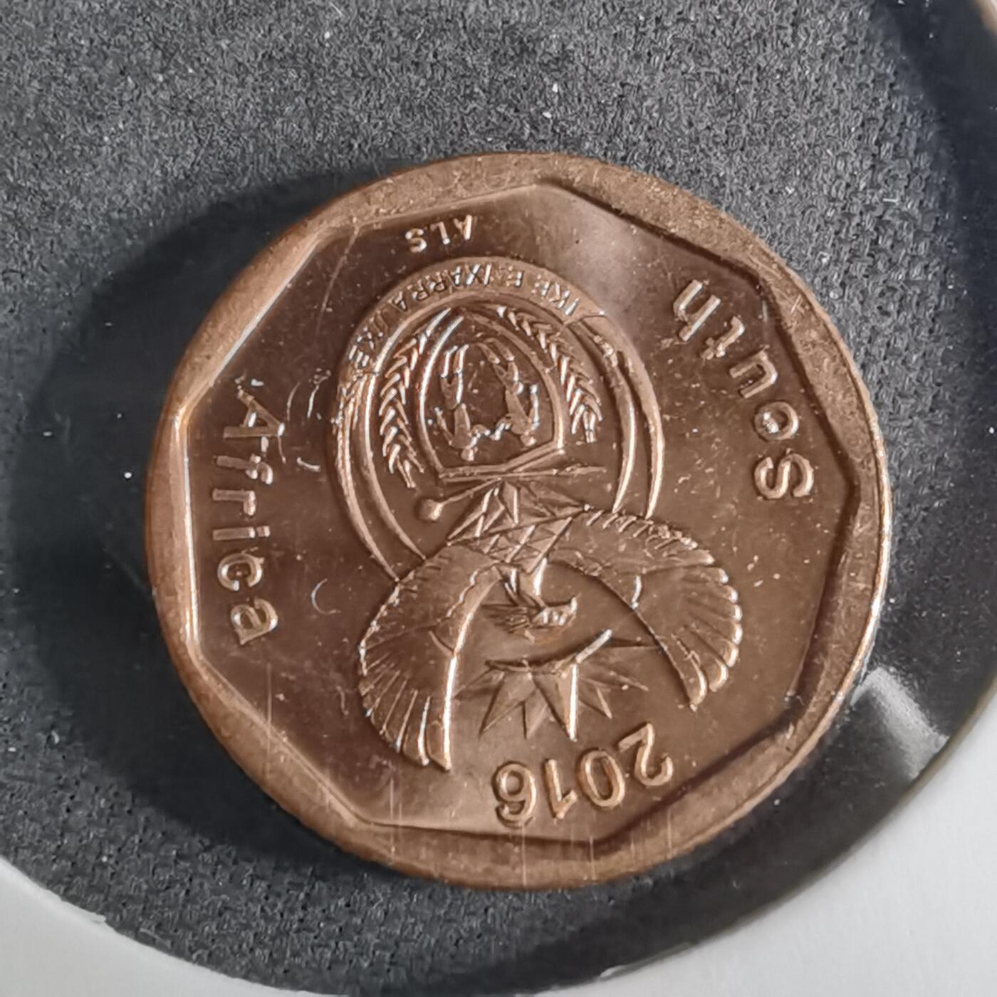 沼泽如烟--第925场 南非2016年十分