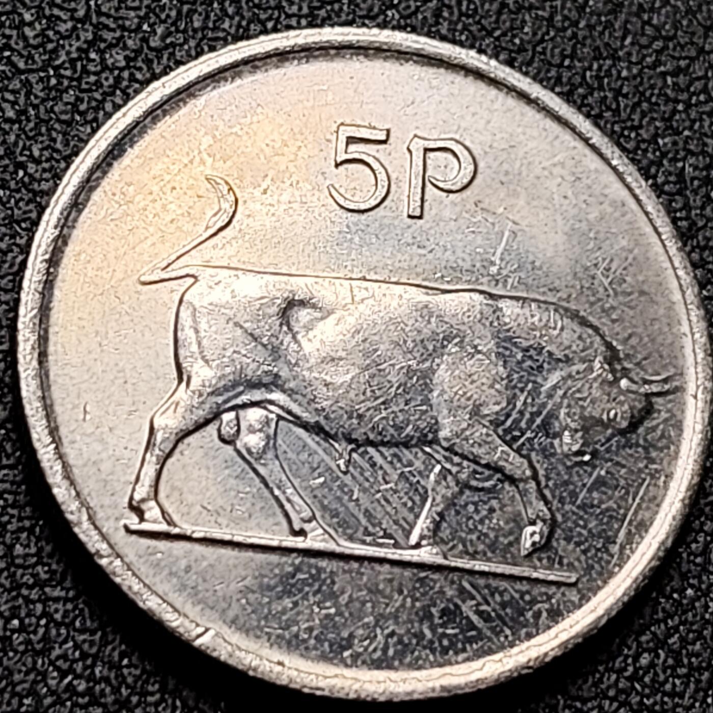 泉币菌-第142场-精品福利场 。