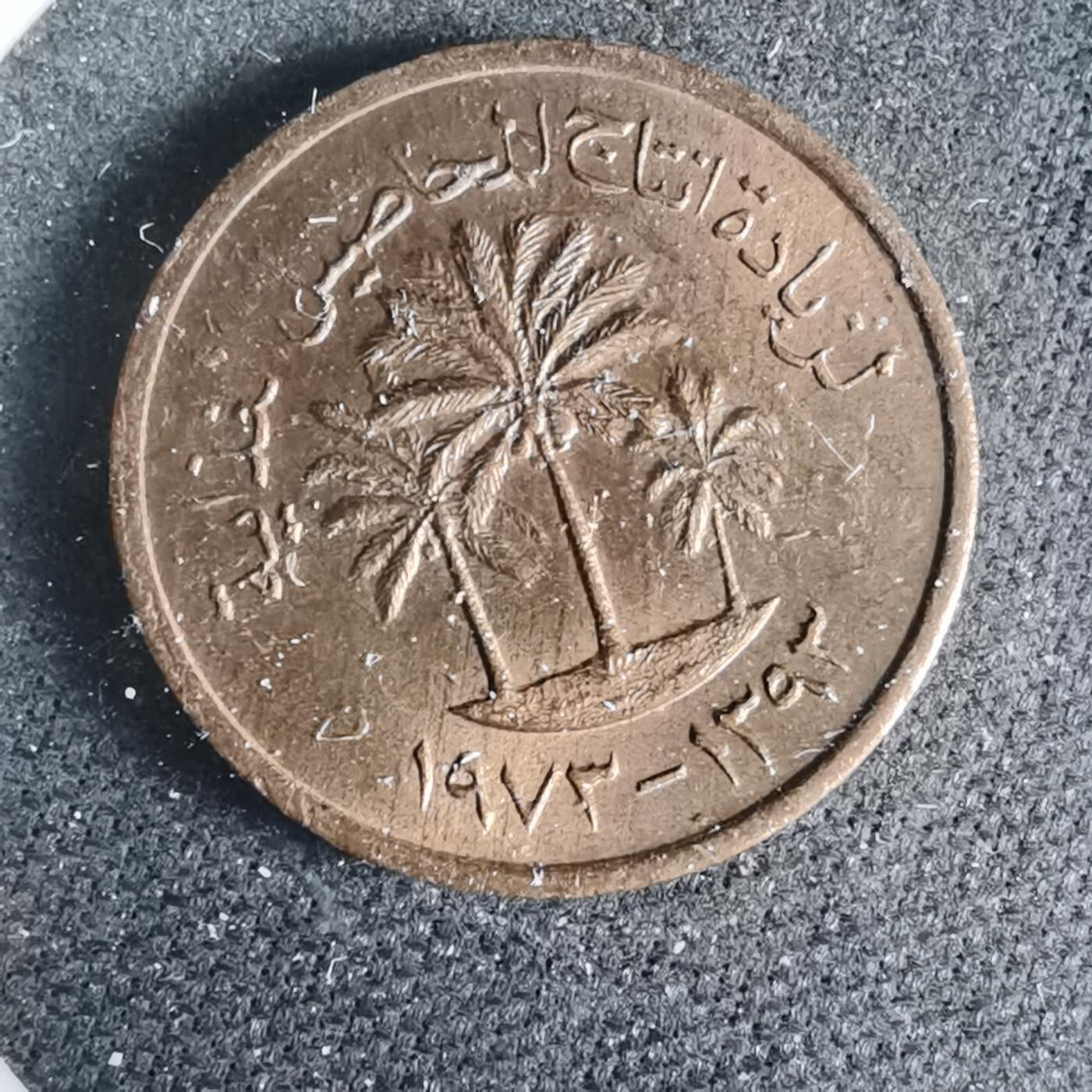 沼泽如烟--第925场 阿联酋