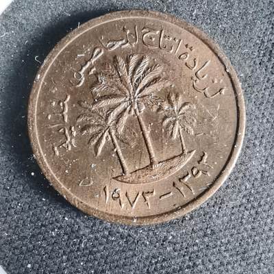 沼泽如烟--第925场 - 阿联酋