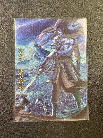 NO.17 好又多金牌大场，新店点关注不迷路！每周一站式配齐，方便凑单！（周6晚8点截拍，卖家送拍0抽成！） - 卡玩帕克 神州英雄志 神岳飞 粗闪