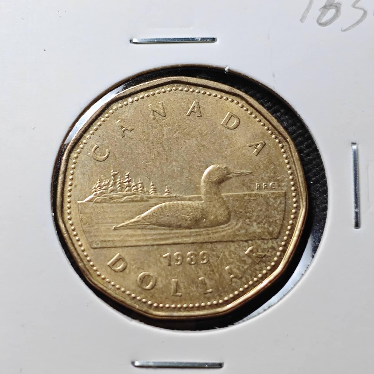 KK钱币收藏小铺 第376期  2月预留时间 周末发货  加拿大1元