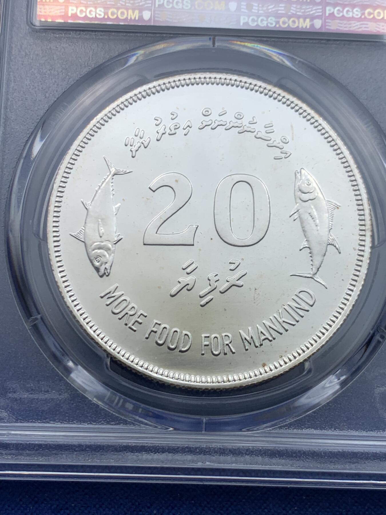 《竞宝斋》第446场 周日，周一，2场连拍 （全场包邮）