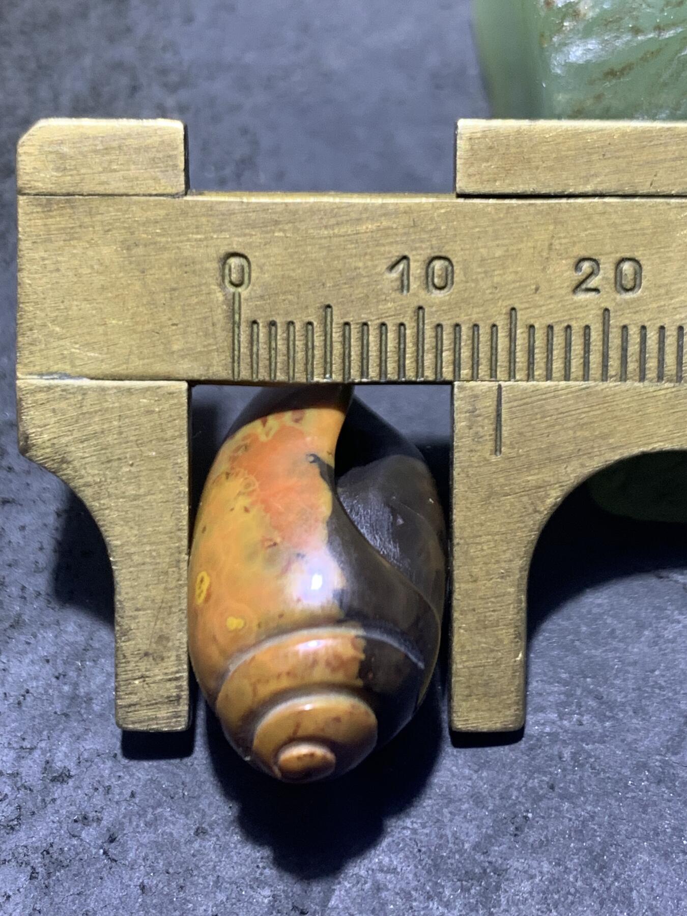 精美战国红玛瑙手工雕刻海螺吊坠一个！