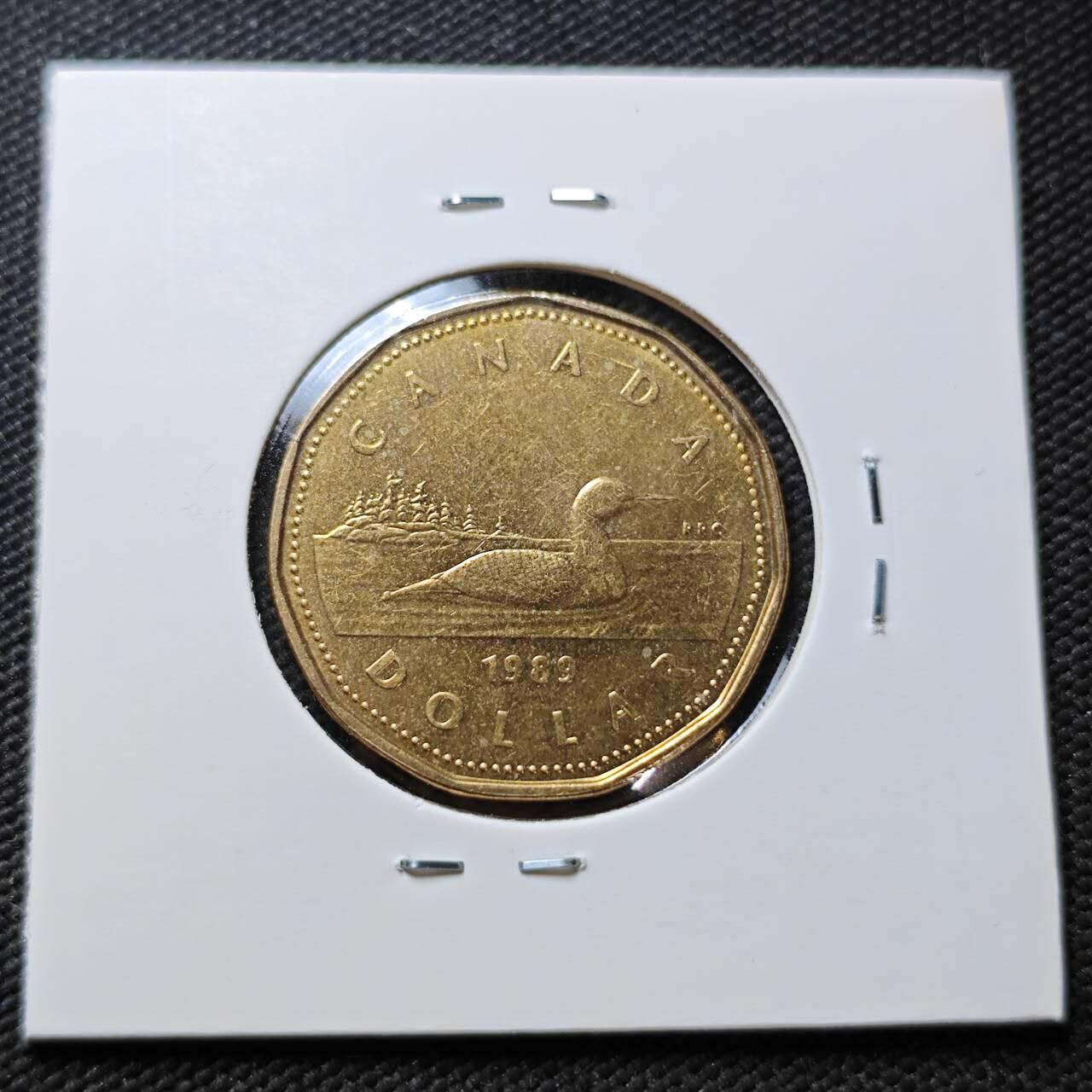 KK钱币收藏小铺 第376期  2月预留时间 周末发货  加拿大1元