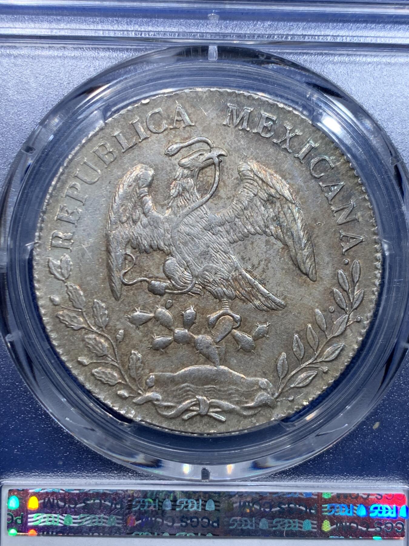 《竞宝斋》第446场 周日，周一，2场连拍 （全场包邮）