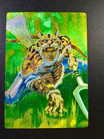 NO.17 好又多金牌大场，新店点关注不迷路！每周一站式配齐，方便凑单！（周6晚8点截拍，卖家送拍0抽成！） - 鼎好卡牌 自制小浣熊解珍粗闪