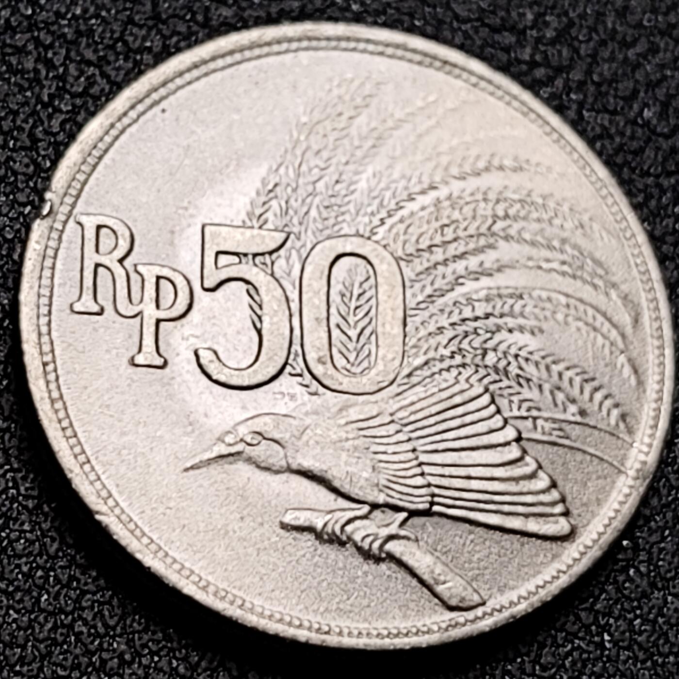 泉币菌-第142场-精品福利场 。