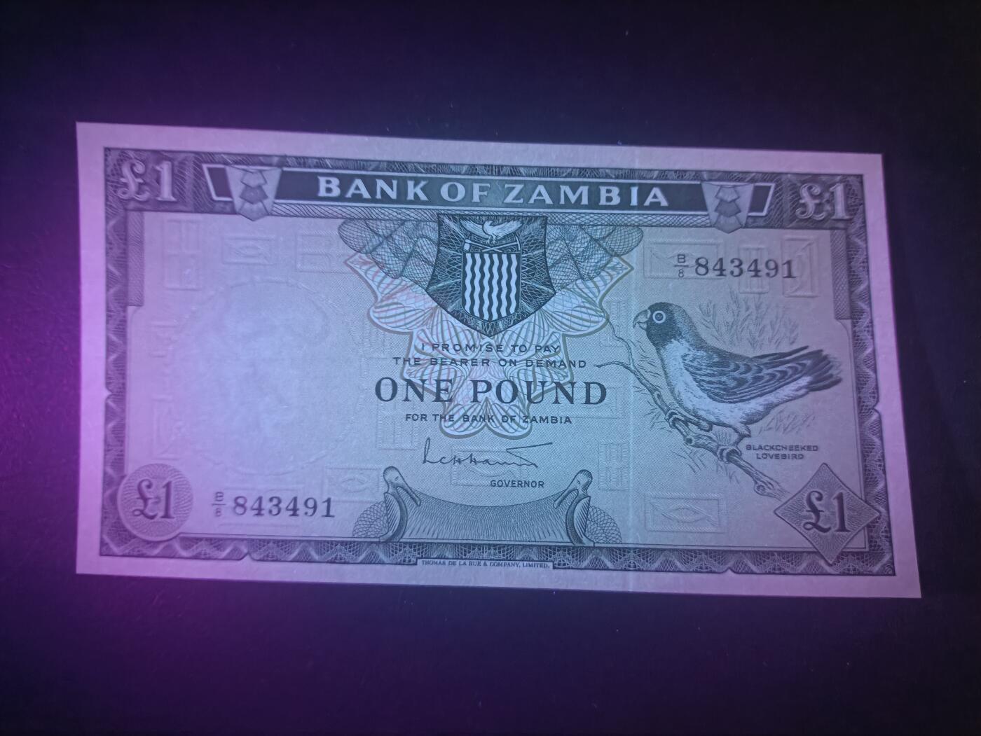 2025十二月第二期，总207期 赞比亚1964版1镑UNC-，黑脸牡丹鹦鹉和工厂，稀有的独立后首版