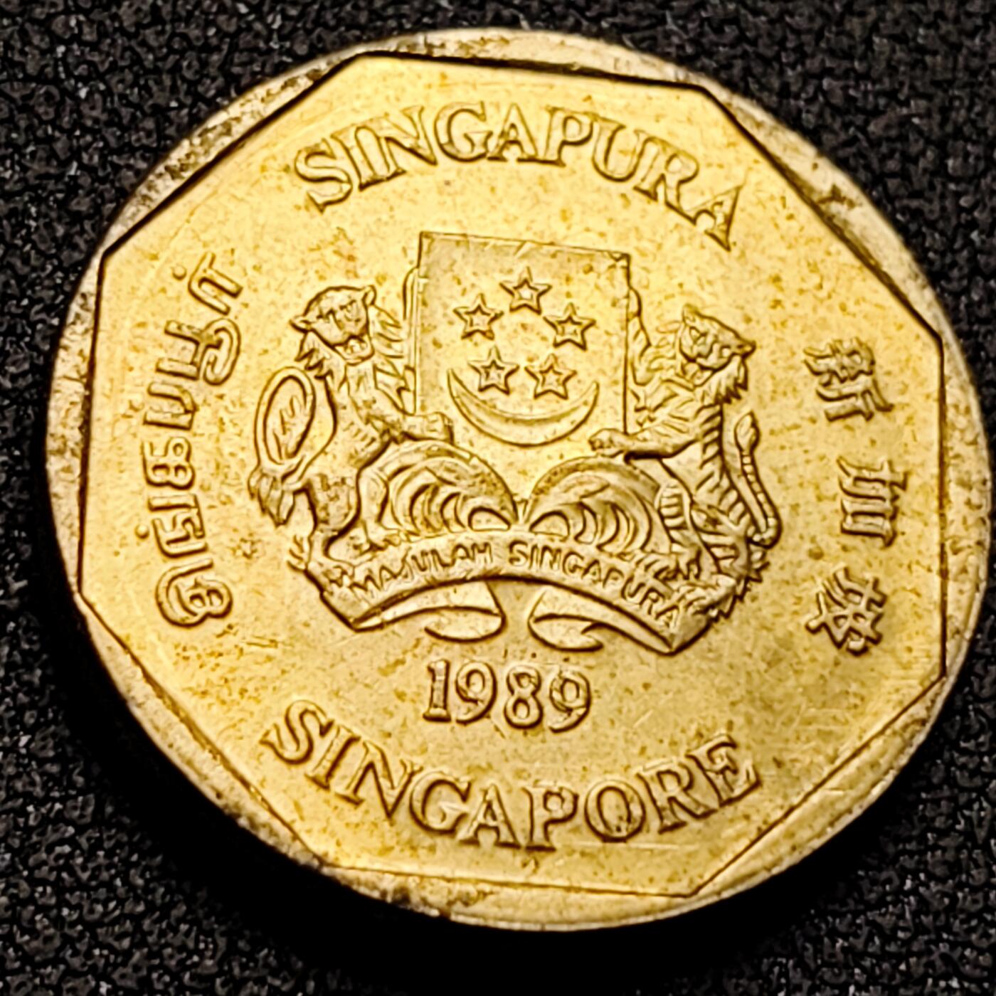 泉币菌-第142场-精品福利场 。