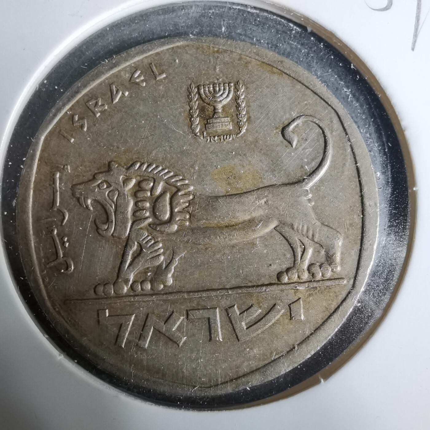 沼泽如烟--第925场