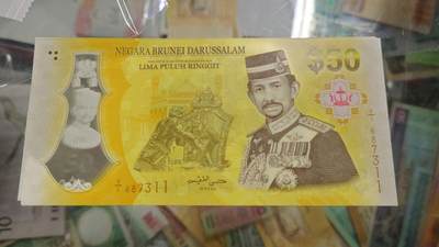 世界钱币～微拍第219期暨2025年第59期  老库存低价起拍 - 2017年文莱50林吉特 全新绝品无4尾号311（和明年新发行的其它面值为同一系列，届时配套潮来了就得找这款了。去年拿了一刀目前最后不到十张了）