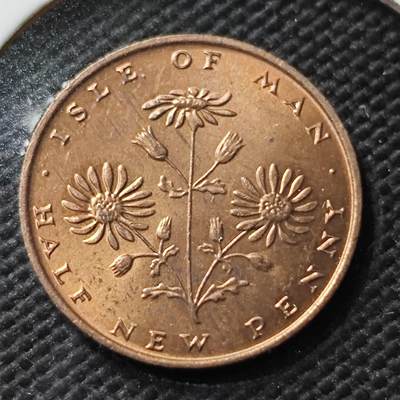 KK钱币收藏小铺 第376期  2月预留时间 周末发货 -  马恩岛半便士铜币 好品