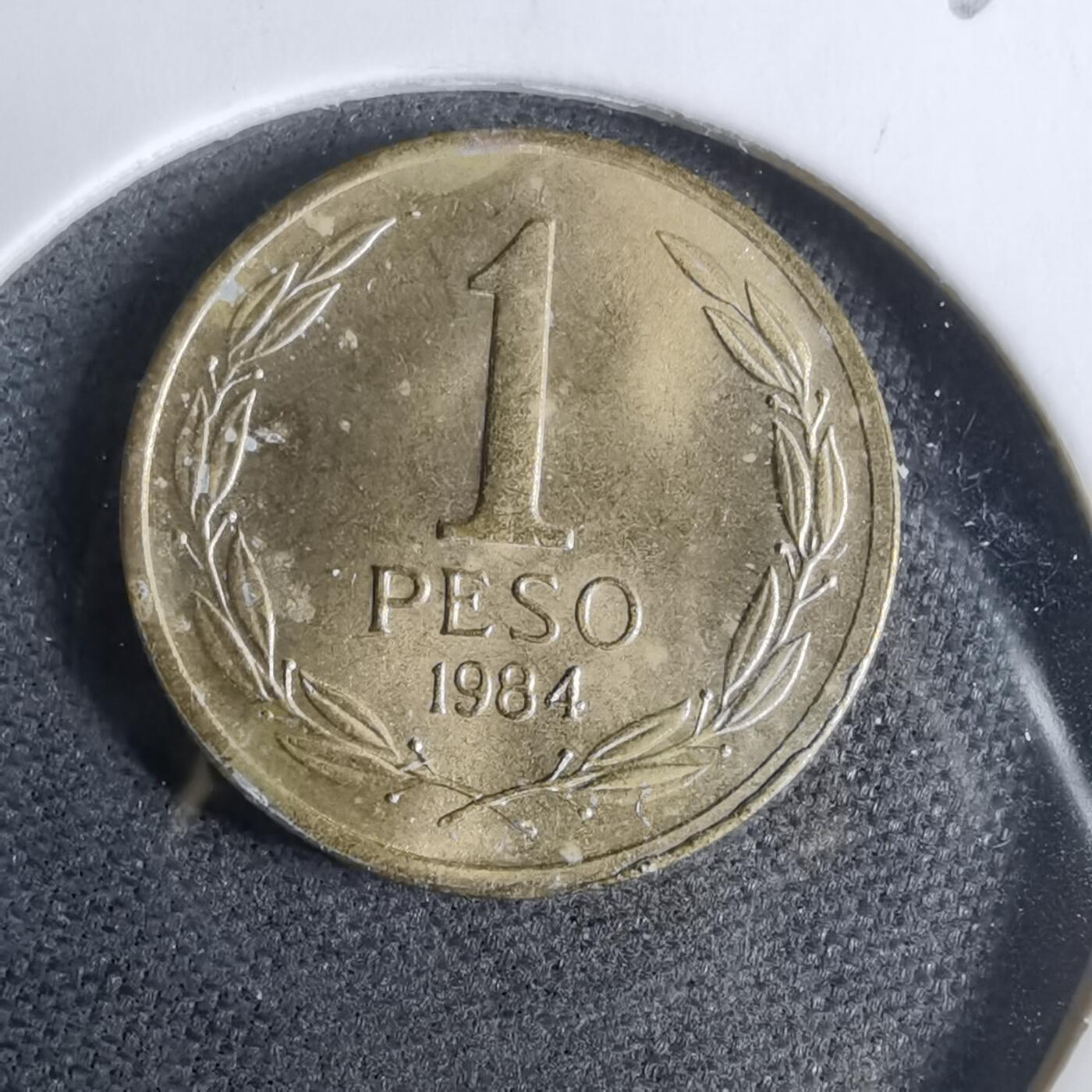 沼泽如烟--第925场