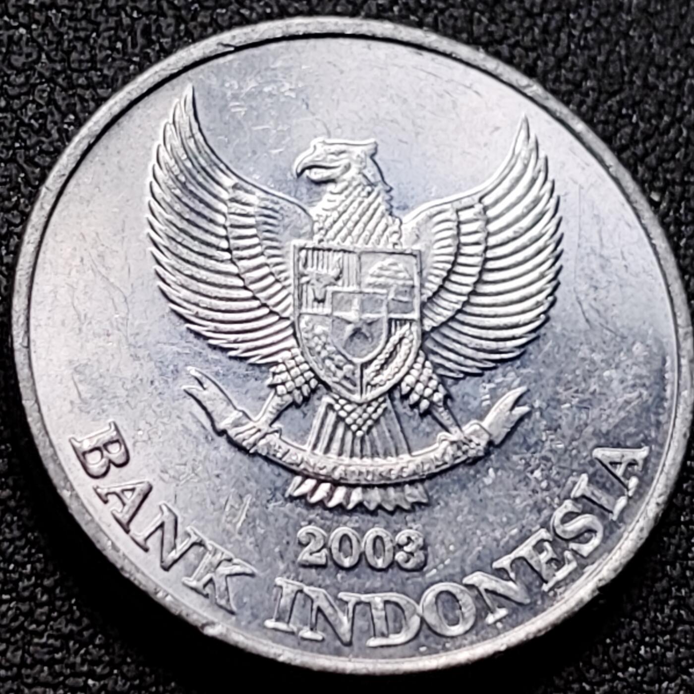 泉币菌-第142场-精品福利场 .