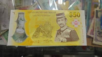 世界钱币～微拍第219期暨2025年第59期  老库存低价起拍 - 2017年文莱50林吉特 全新绝品无4尾号312（和明年新发行的其它面值为同一系列，届时配套潮来了就得找这款了。去年拿了一刀目前最后不到十张了）