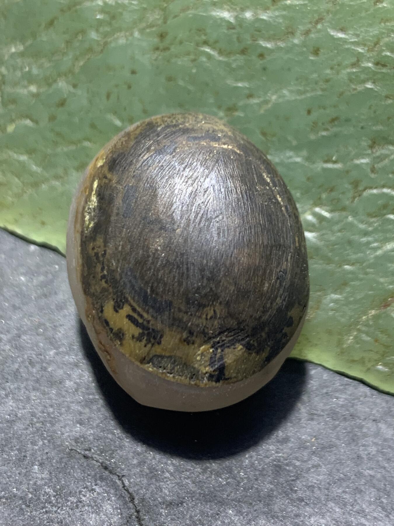 精美冰飘战国红玛瑙原皮天眼原石一个