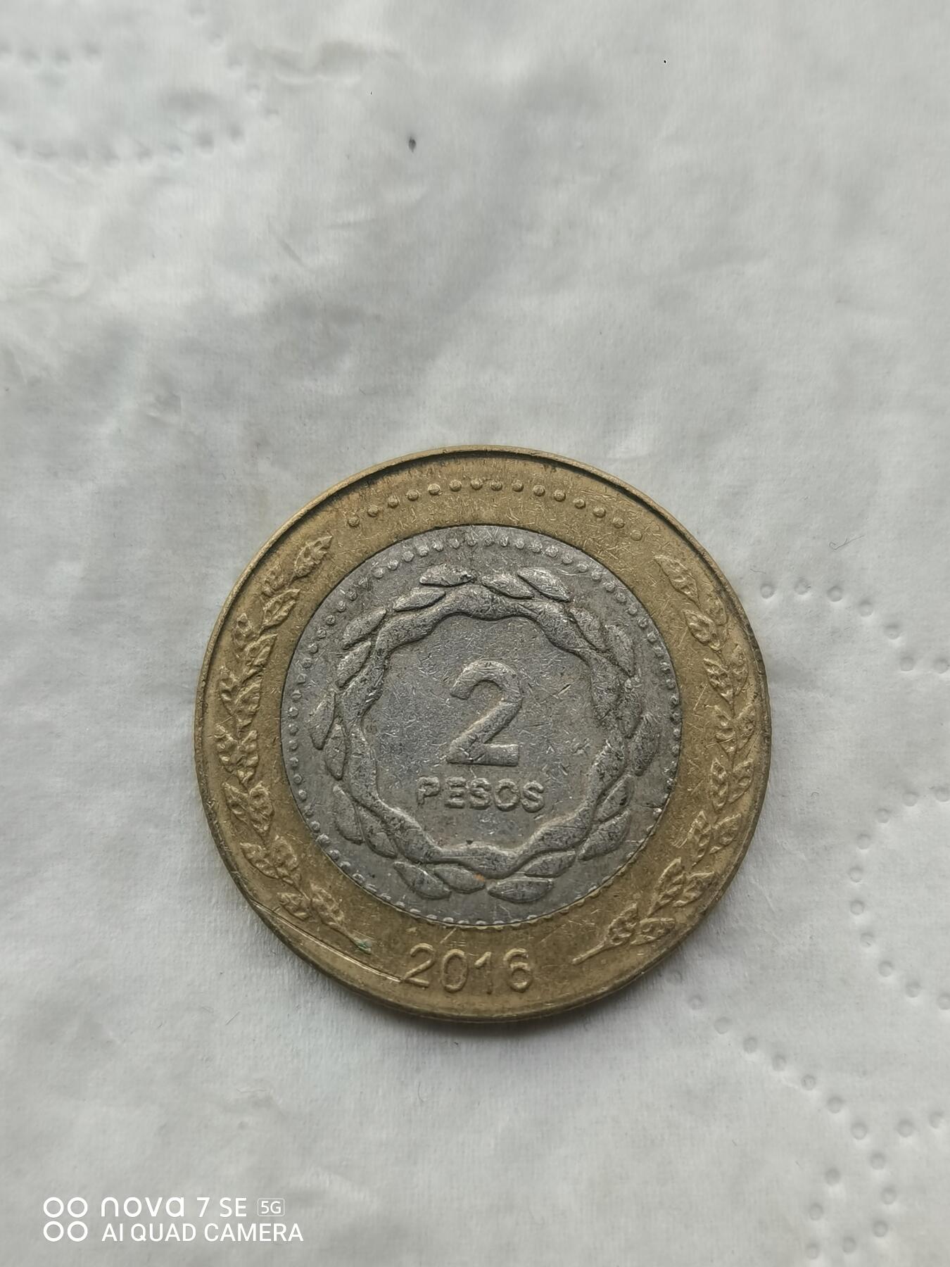 外国硬币 阿根廷太阳娃娃2比索