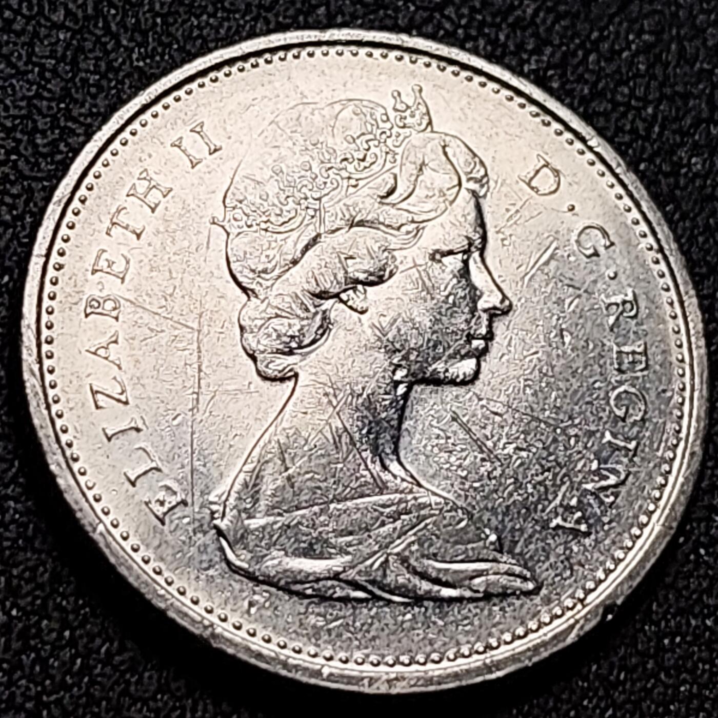 泉币菌-第142场-精品福利场 。