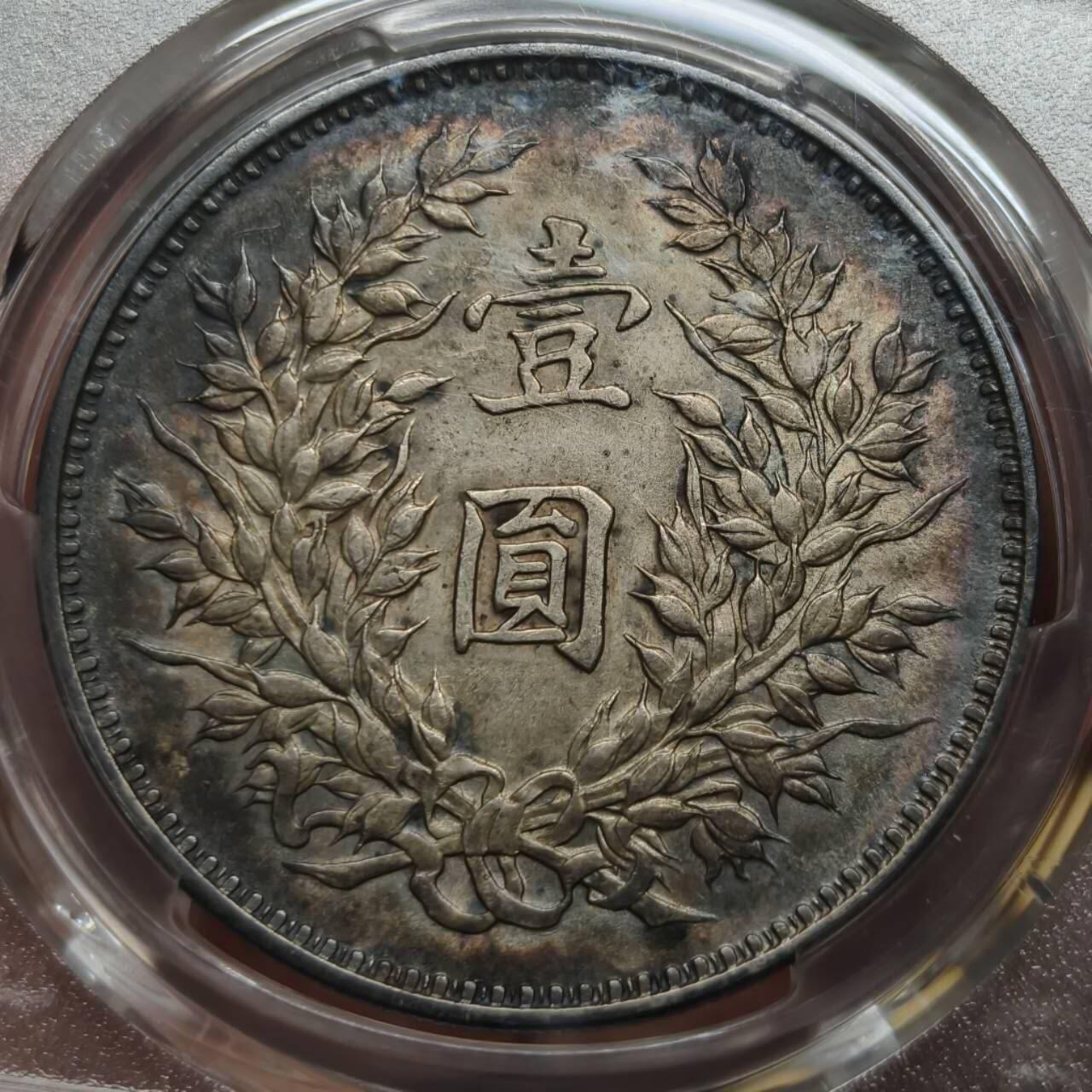 酱彩PCGS九年精发大头银元