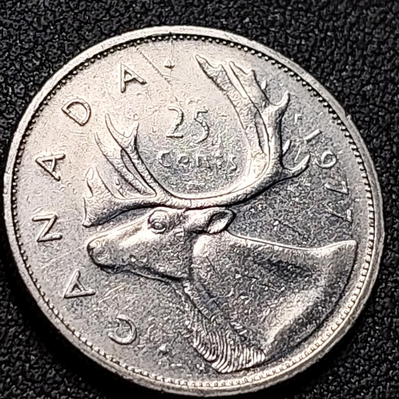 泉币菌-第142场-精品福利场 。