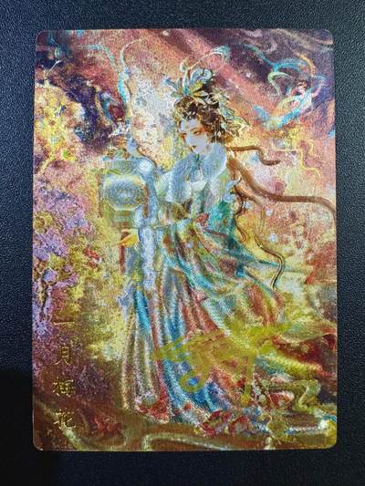 NO.17 好又多金牌大场，新店点关注不迷路！每周一站式配齐，方便凑单！（周6晚8点截拍，卖家送拍0抽成！） - 【31/50编亲签】山河潮玩 雪舟亲签 一月梅花 粗闪