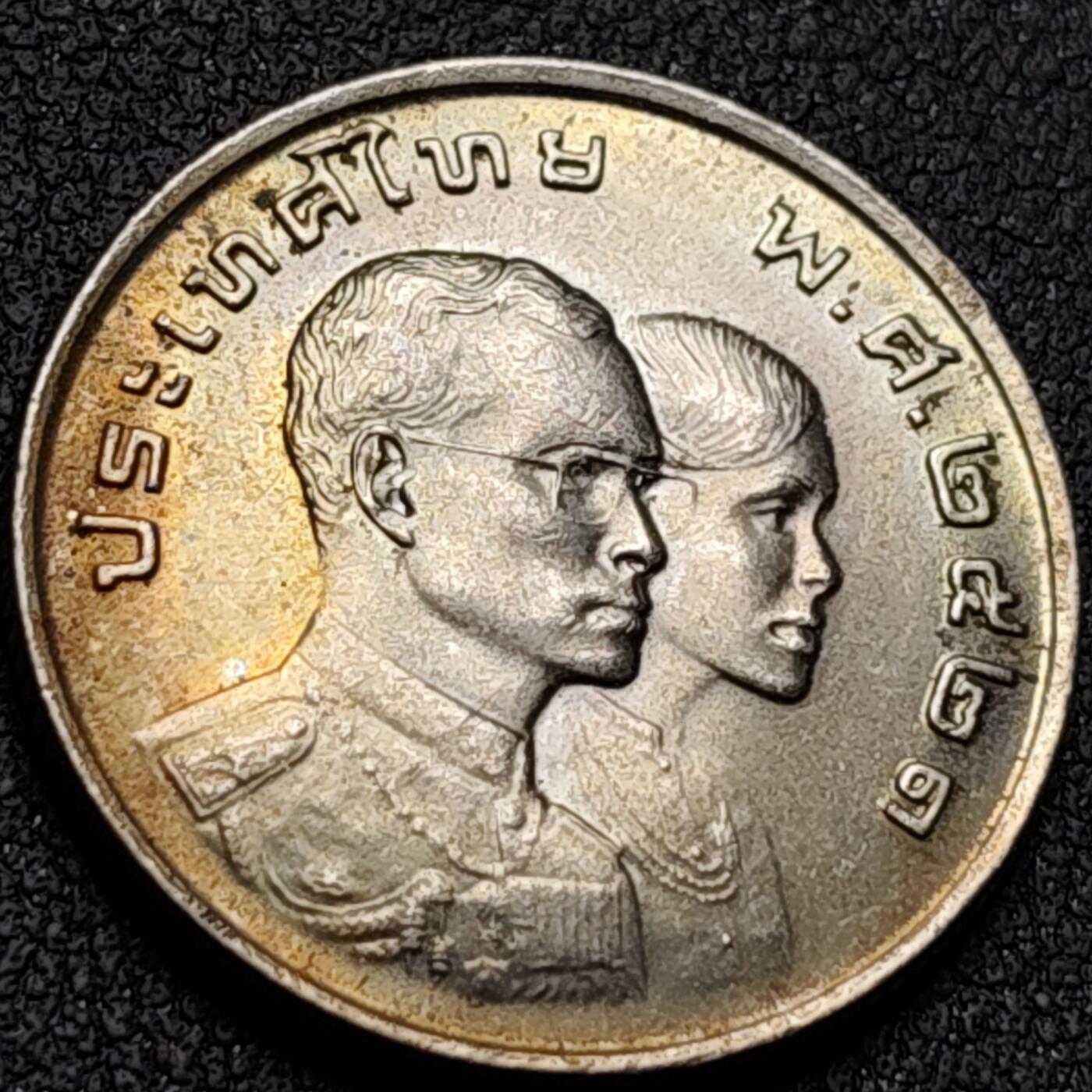 泉币菌-第142场-精品福利场 。