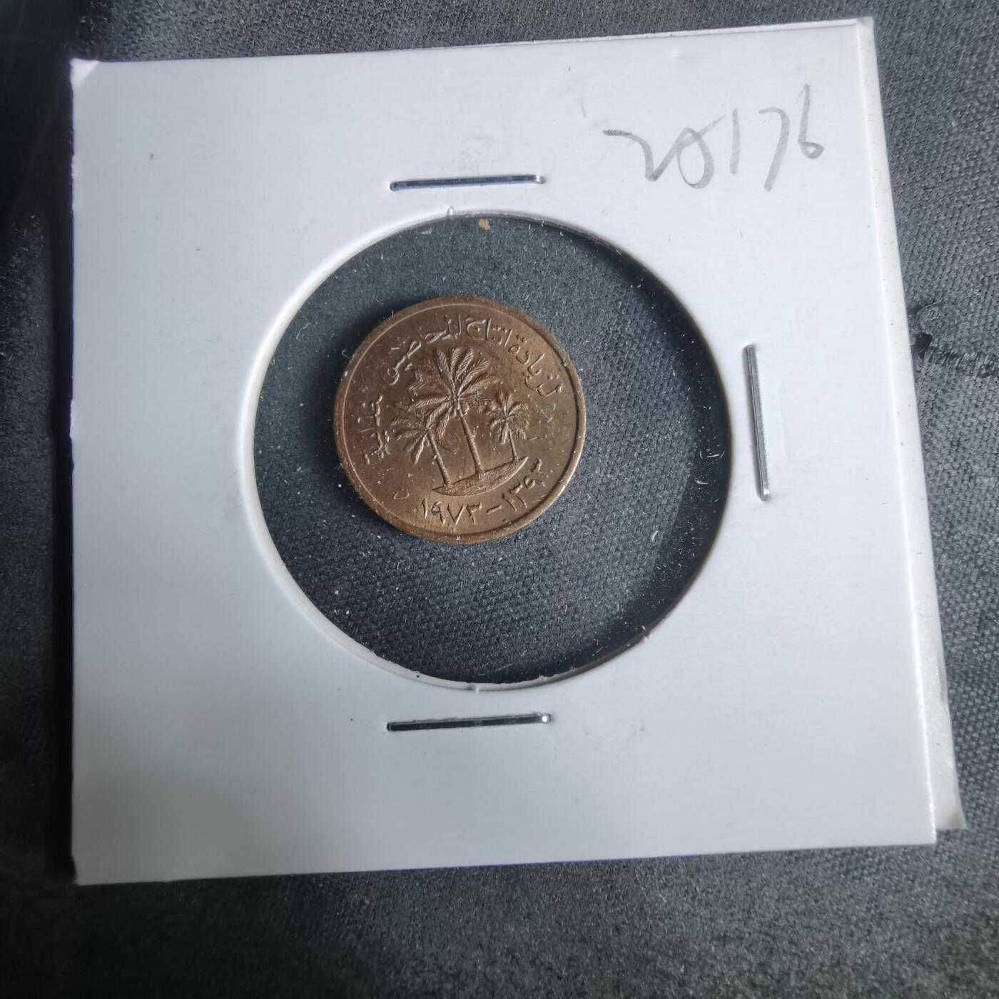 沼泽如烟--第925场 阿联酋